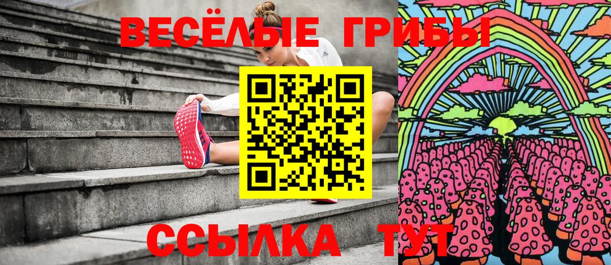 Псилоцибиновые грибы Cubensis  Вход с VPN  Усолье-Сибирское 